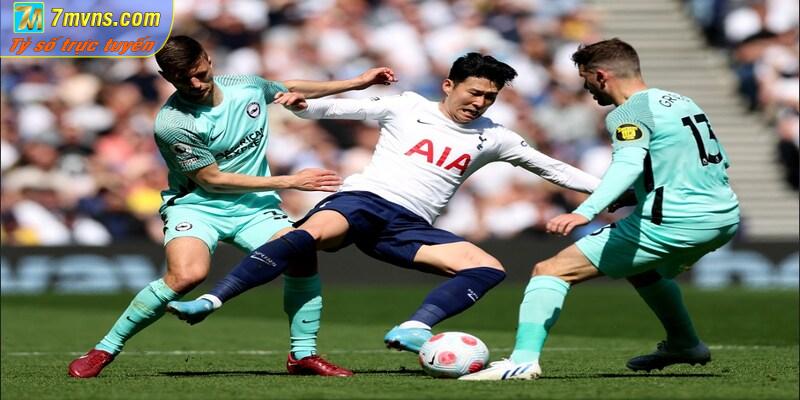 Thông tin chung của hai đội Brighton vs Tottenham