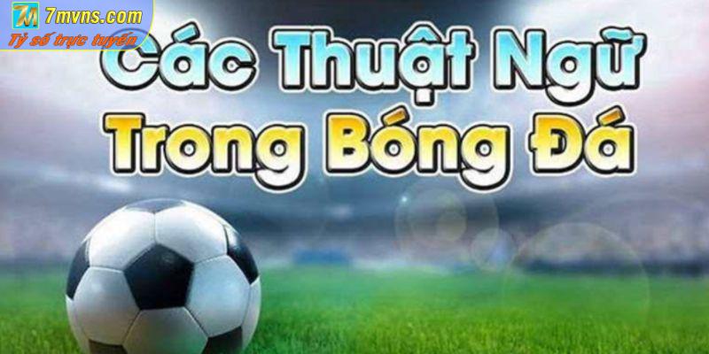 Thuật ngữ cá độ bóng đá là gì?
