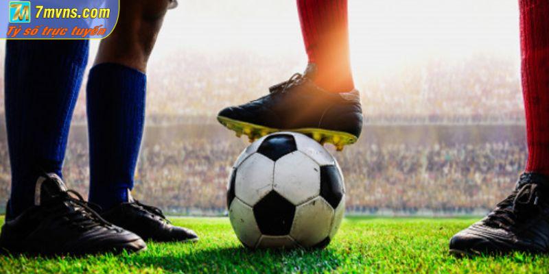 Tổng hợp các cách soi kèo bóng đá chuẩn xác từ các cao thủ