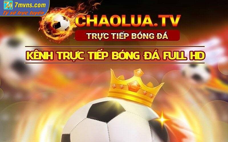 Sơ lược thông tin về trang web Chảo lửa TV