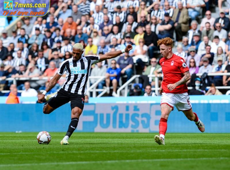 Nhận định, soi kèo Newcastle vs Nottingham | 19h30 ngày 26/12/2023