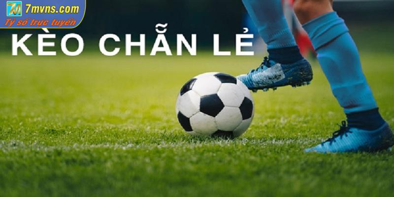 Hướng dẫn người chơi cách tính thắng thua kèo chẵn lẻ